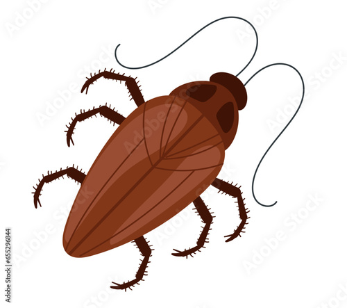Cockroach moth mite bug roach isolated on white background. Vector flat graphic design illustration