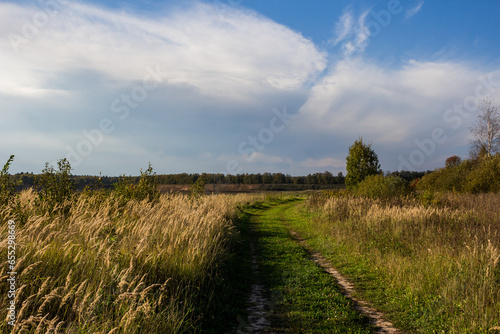 Landscape with a view of a country road along fields against the backdrop of a large cloud in the sky