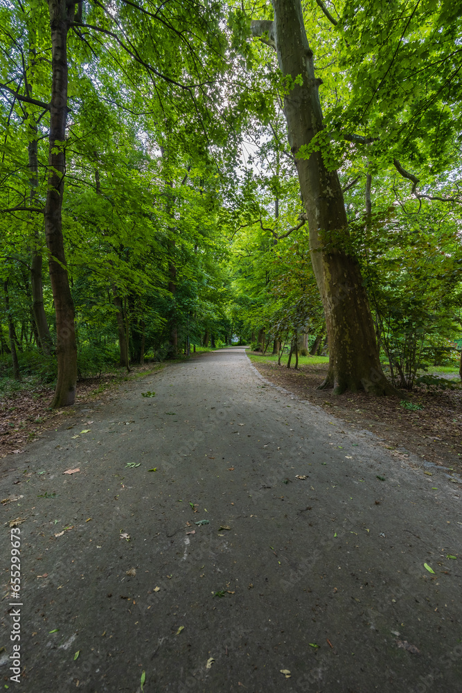 Long footpath in park with high and old green trees on both sides separating from bright sun Long footpath in park with high and old green trees on both sides separating from bright sun
