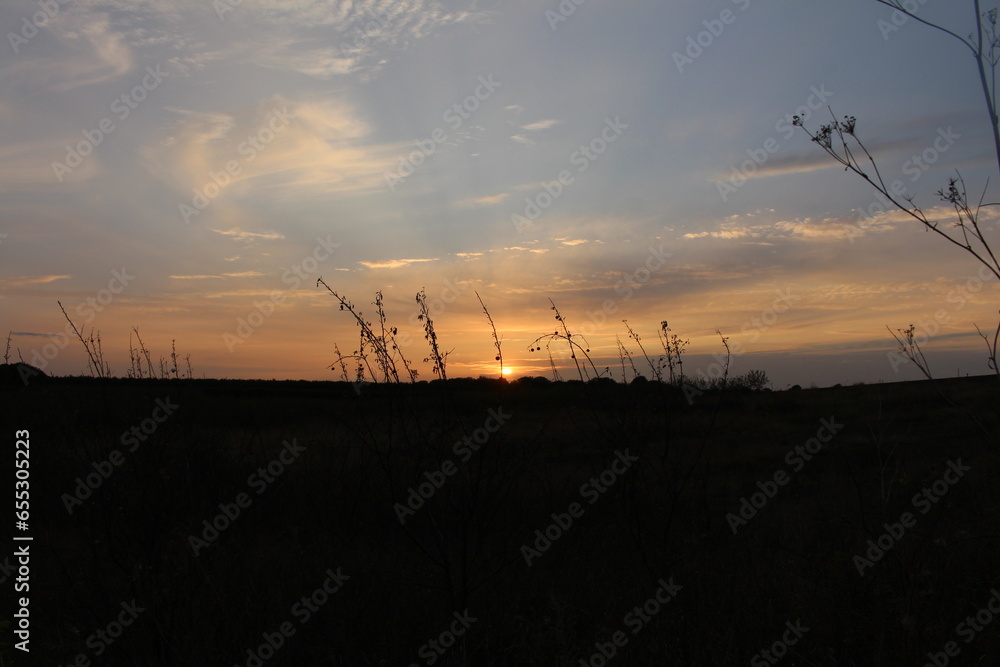 Obraz premium A sunset over a field