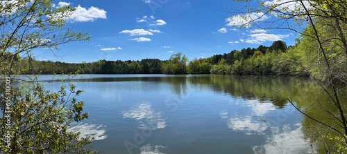 Pond during spring in Phil Carroll Nature Preserve in Greenville, North  Carolina