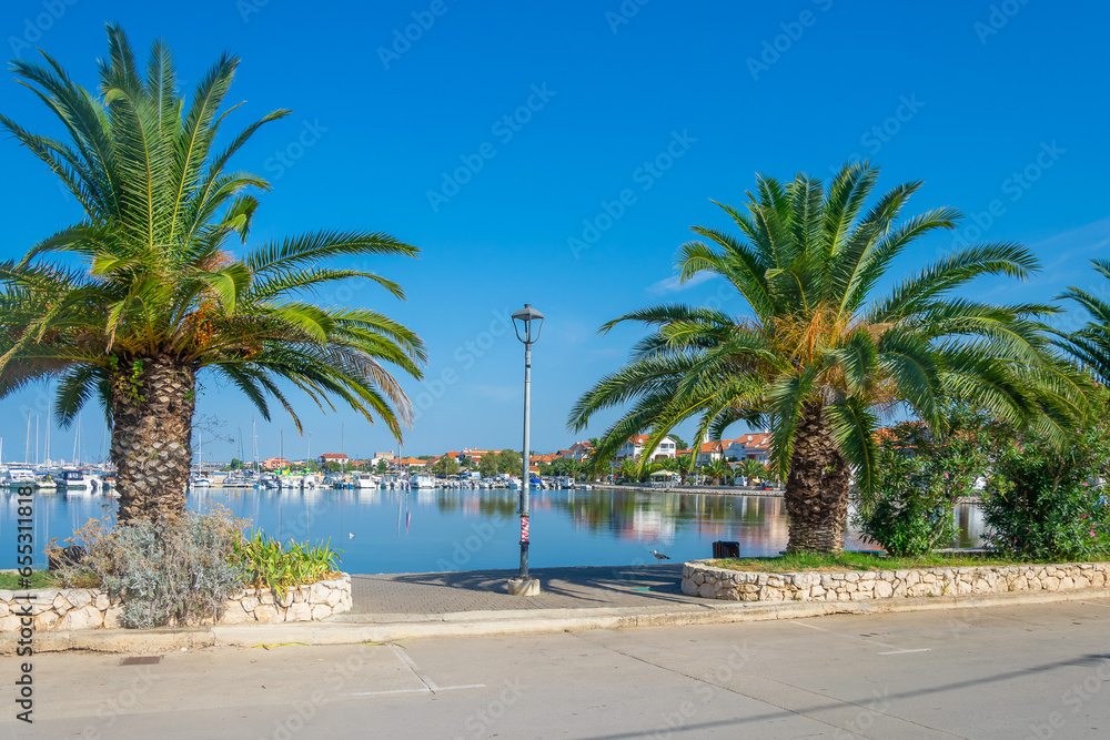palm trees and the port of the Croatian town of Bibinje
