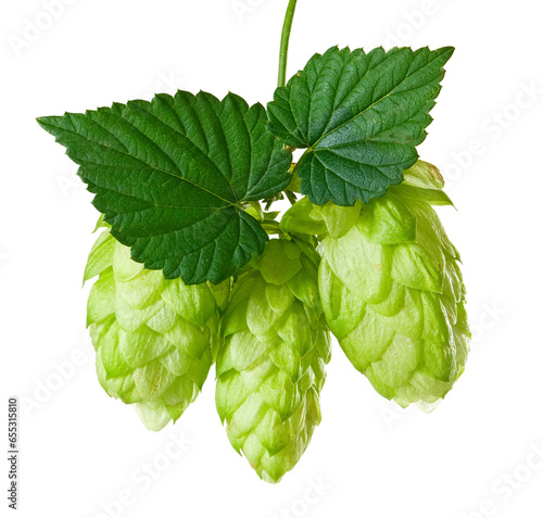 Canvas-taulu hop  isolated on transparent background PNG