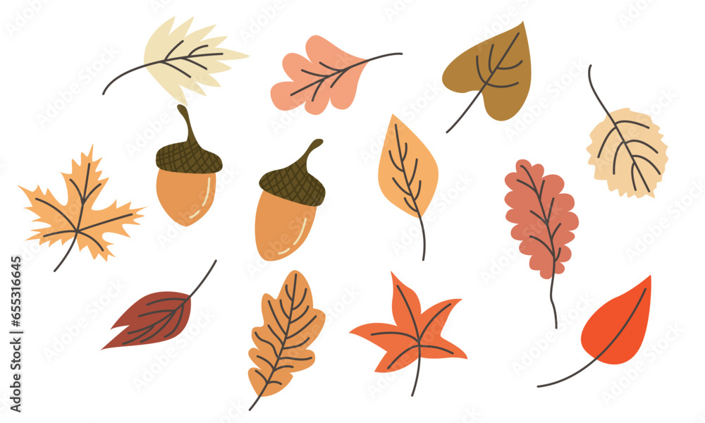 Fototapeta premium Set of autumn elements. Leaves, acorns, autumn flowers