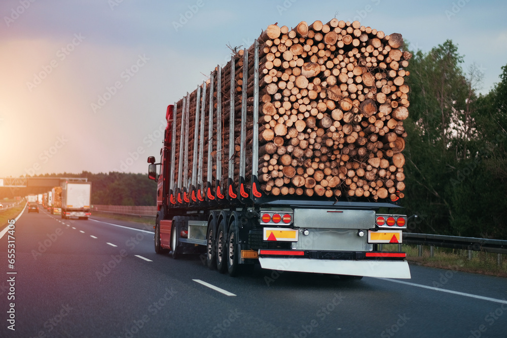 A long trailer truck with a cargo of wooden logs on a motorway