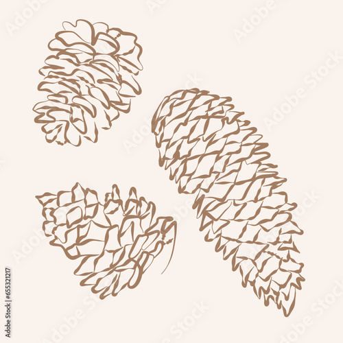 Set of pine cones, design elements, hand drawn vector illustration, sketch. Doodle, simple outline illustration for decoration of textile, paper and other surfaces.