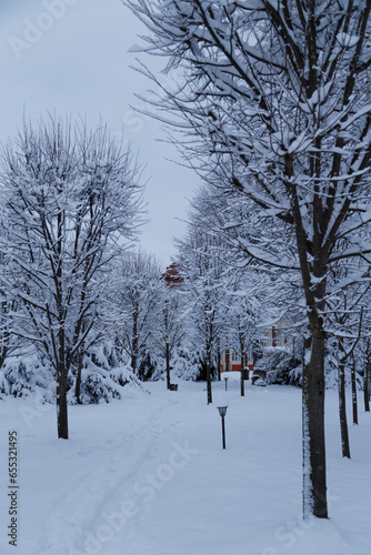 Beautiful winter photo of snow-covered evening Brukenthal Park in Avrig, Romania © Iryna Budanova