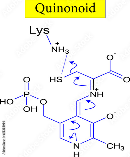 Quinonoid structure ,formula . Vector illustration
