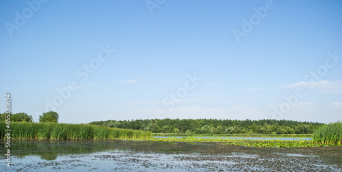 Lush green rural nature of Ukraine in the middle of the day (ID: 655360694)