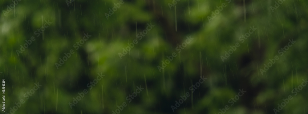 Defocused background of Heavy rain pouring shower, thunderstorm in summer. Green trees on background. Windy rainy weather, close up shot with bokeh. Season tropical rainforest dark evening footage Defocused background of Heavy rain pouring shower, thunderstorm in summer. Green trees on background. Windy rainy weather, close up shot with bokeh. Season tropical rainforest dark evening footage