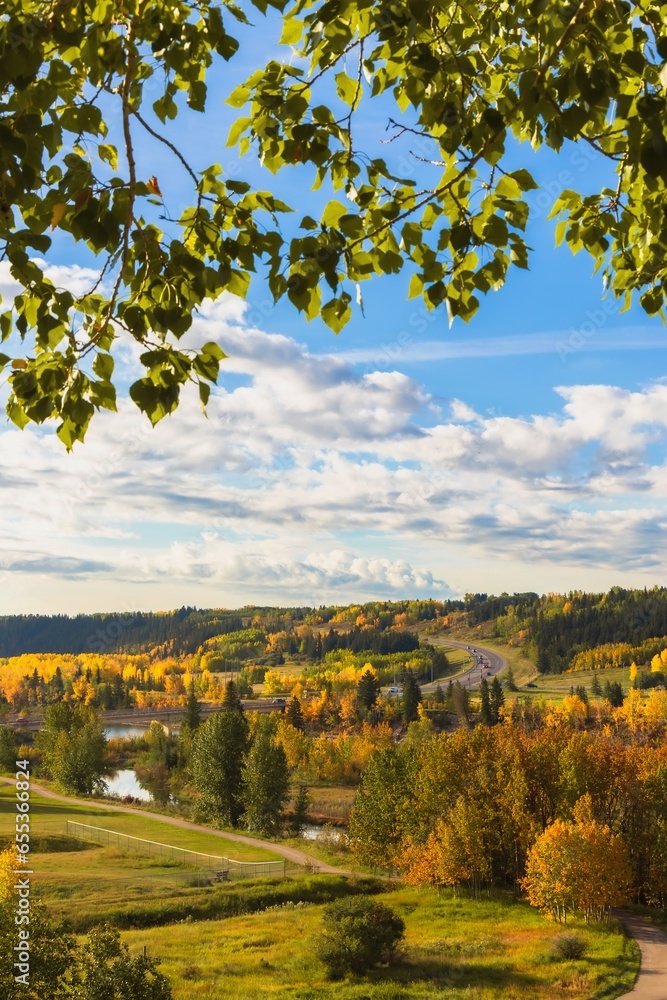 Fototapeta premium Leaves Framing The Fall River Valley