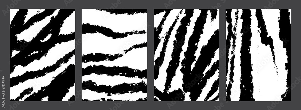 Set of zebra textures. Animal skin patterns. Collection of zebra skin backgrounds. Black and white expressive brush strokes. Textures painted with dry brush. Birch bark texture