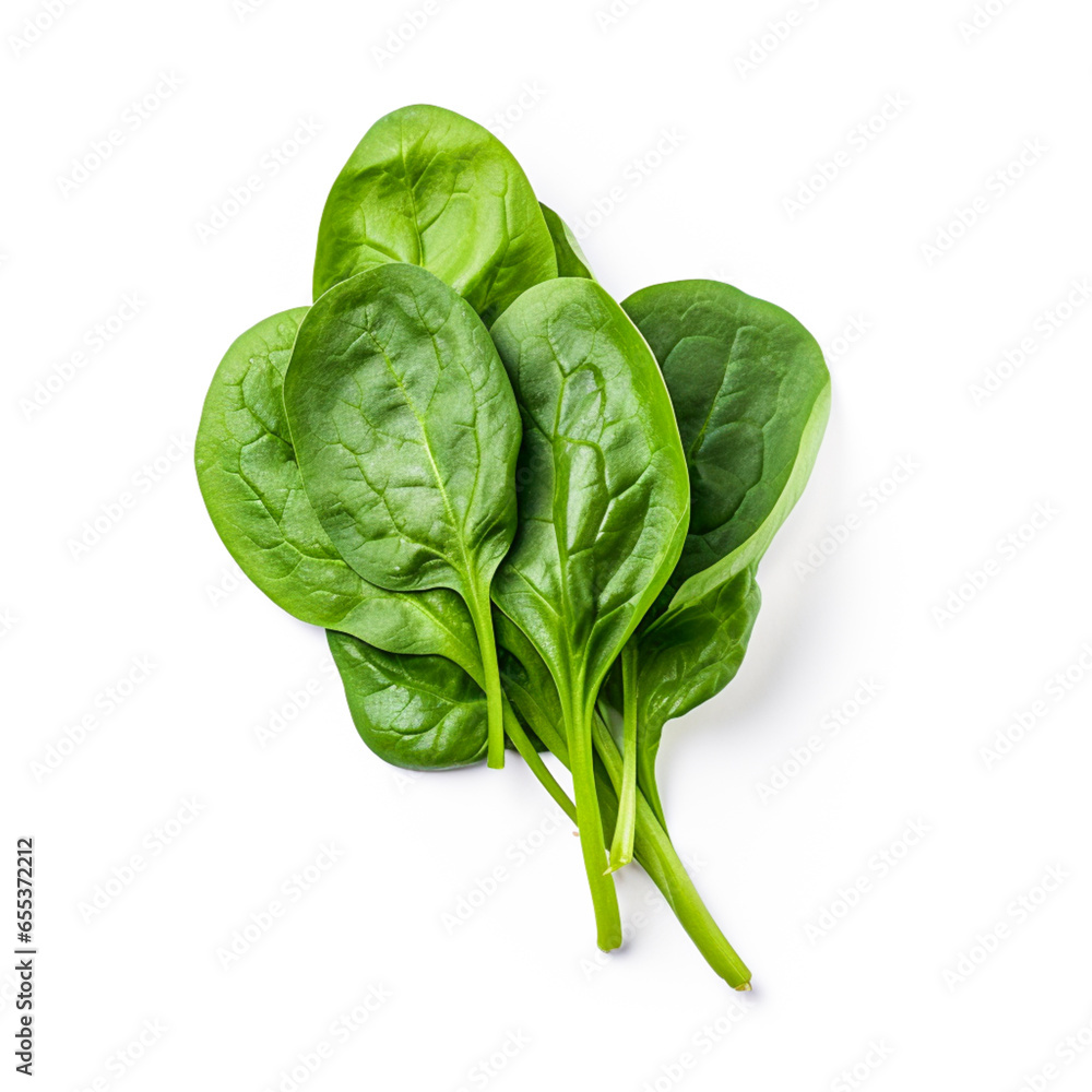 Spinach isolated on white background Spinach isolated on white background