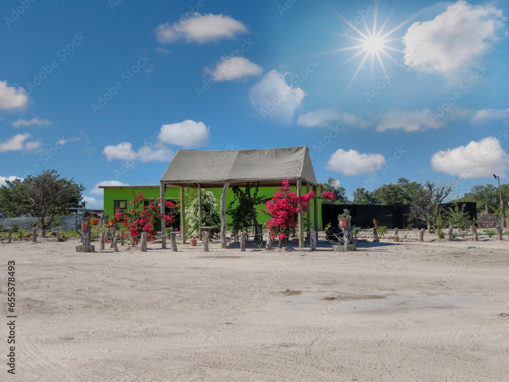 Okavango Delta in Botswana, green painted house with a shade for the flower garden, yard of a villager