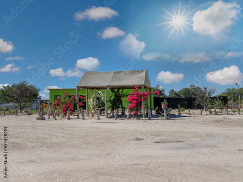 Okavango Delta in Botswana  green painted house with a shade for the flower garden  yard of a villager
