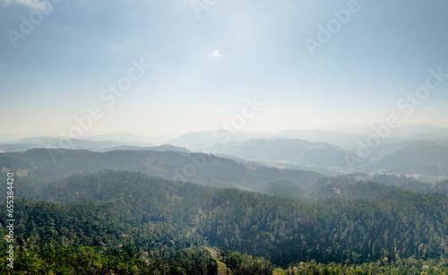 panoramic drone view of mountains with trees