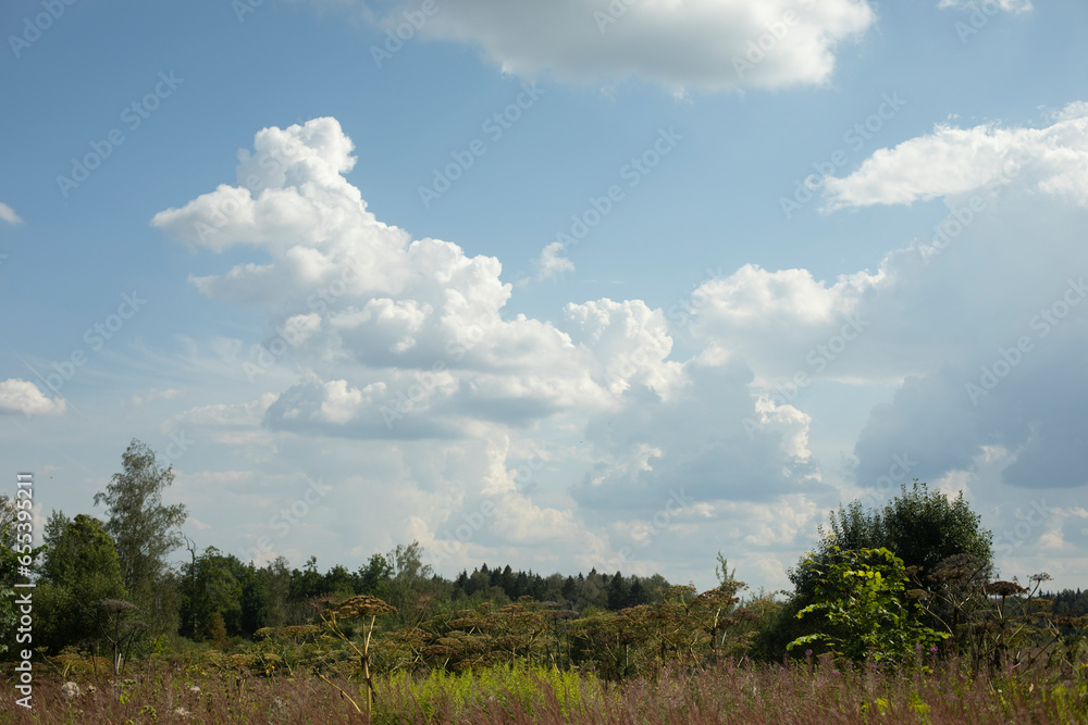 Summer natural landscape. Large field. Clouds over forest. Summer natural landscape. Large field. Clouds over forest.
