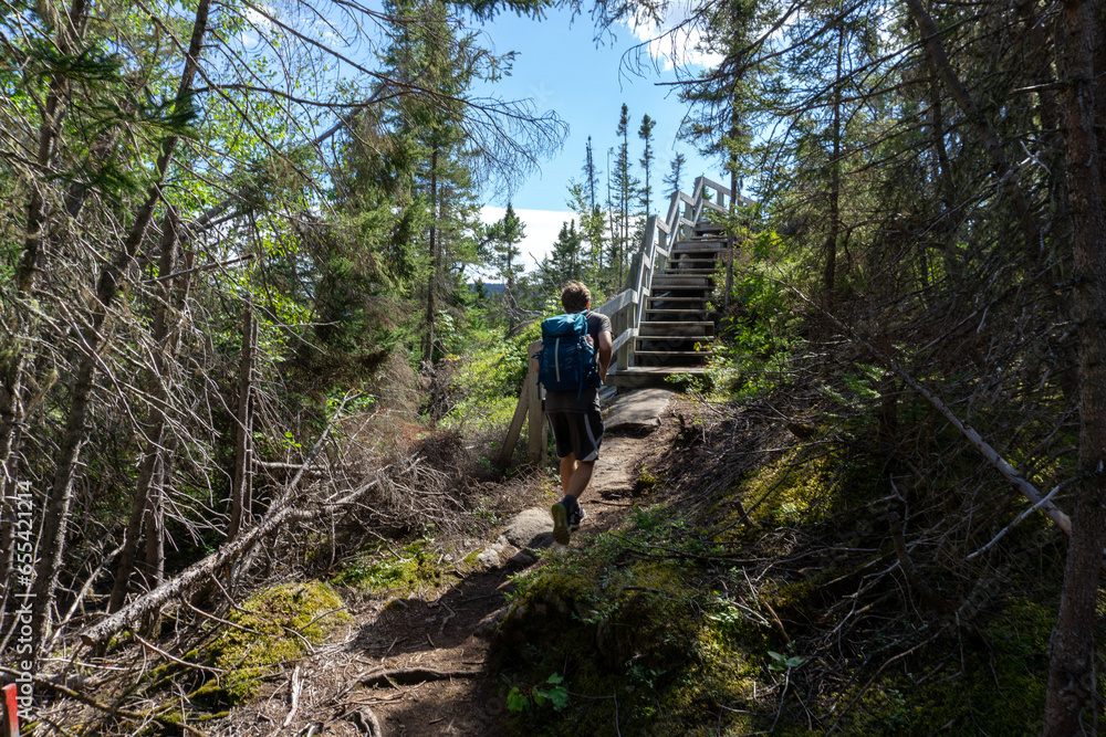 hiker in forest wooden trail Scenic Quebec hiker in forest wooden trail Scenic Quebec