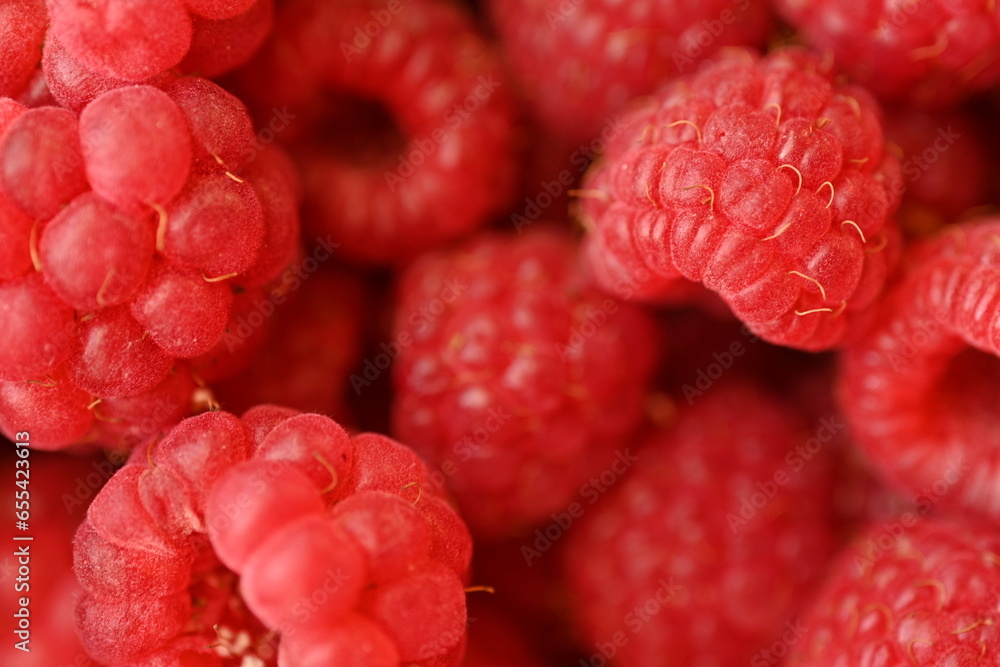 red raspberries close-up, macro juicy ripe raspberries red raspberries close-up, macro juicy ripe raspberries