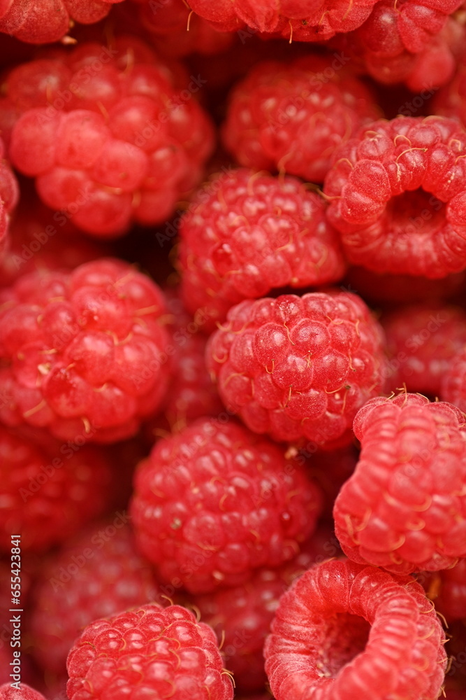 red raspberries close-up, macro juicy ripe raspberries red raspberries close-up, macro juicy ripe raspberries