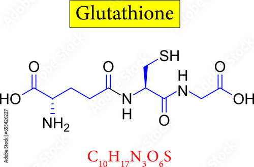 Glutathione structure ,formula .Vector illustration photo