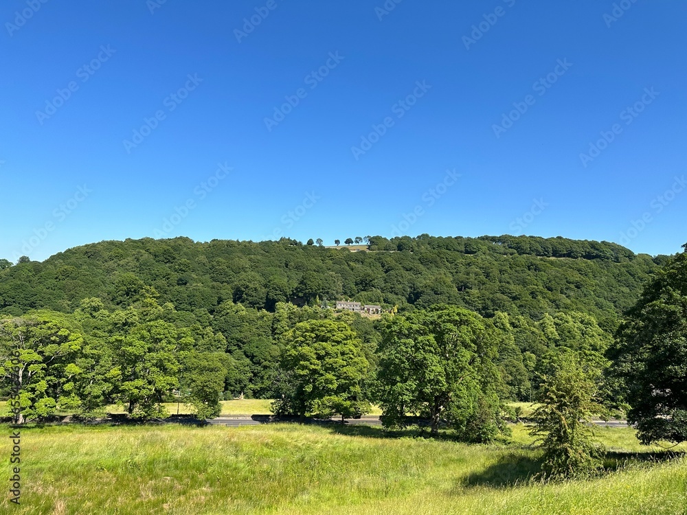Landscape, with green fields, old trees, houses, and a distant forest, set against a blue sky in, Sowerby Bridge, UK