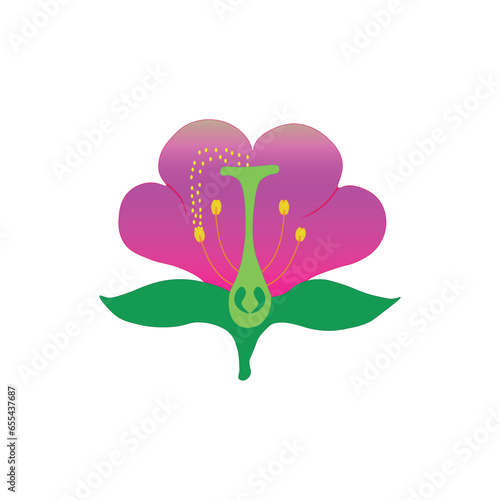 Self pollination of flowers concept. Vector illustration.