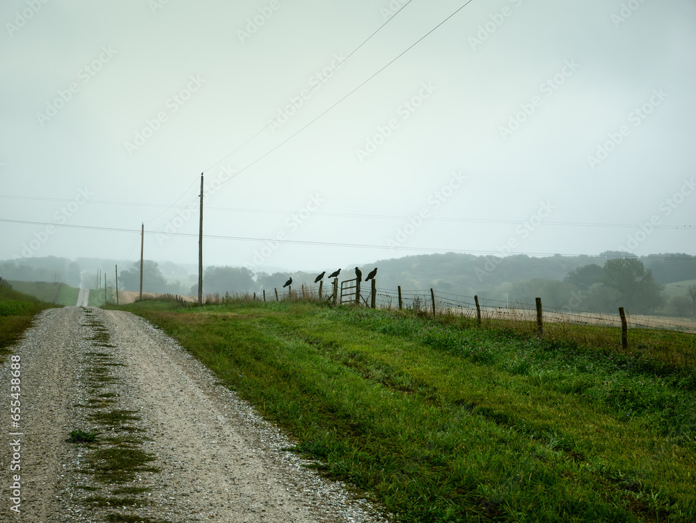 Vulture Fence 01, 2023. A Vulture Fence 01, 2023. A