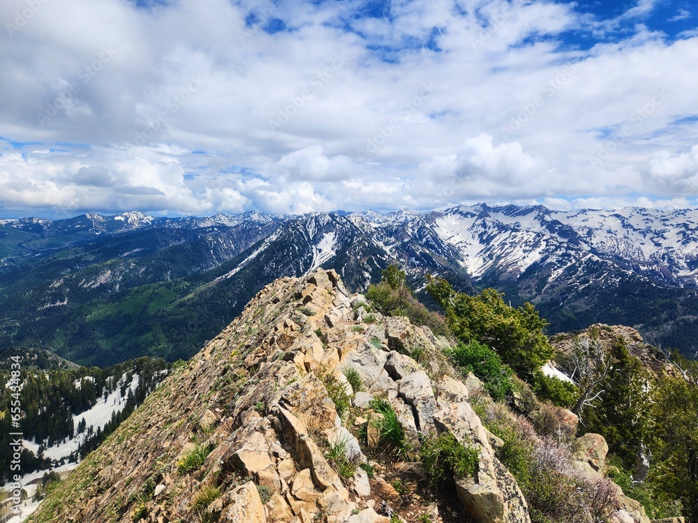 View from Mount Raymond summit, Wasatch National Forest, Utah