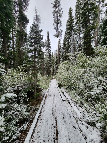 Snowy trail, Sawtooth National Forest, Idaho