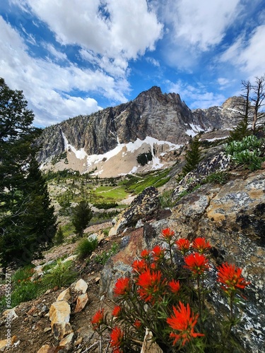 Indian paintbrush in front of a mountain peak, Sawtooth National Forest, Idaho
