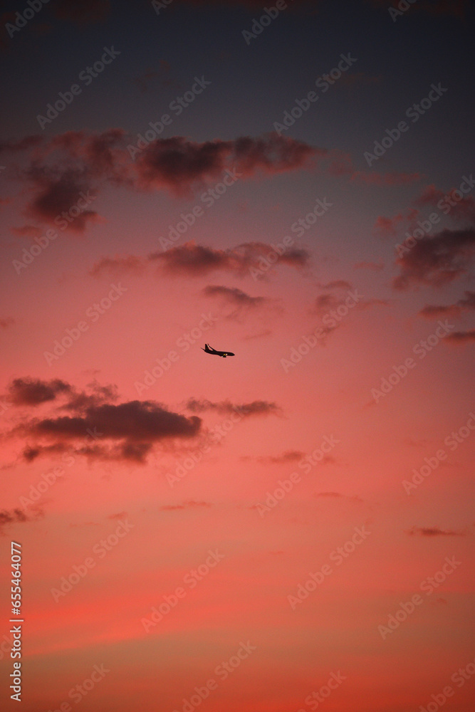 airplane ready to land in a scenic sunset 