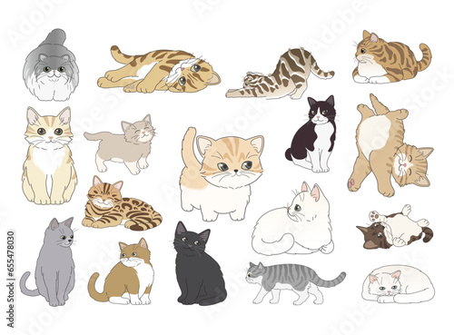 Vector flat style cats illustration set