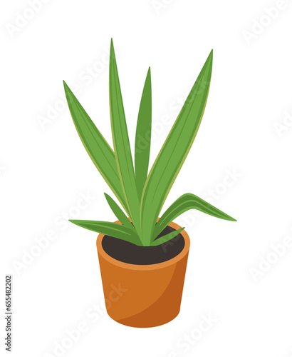 Isometric plant in flowerpot vector concept