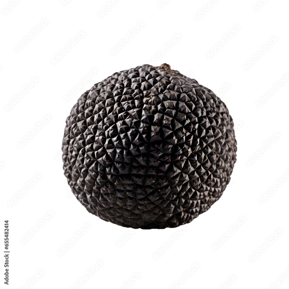 Black Winter Truffle Isolated on Transparent or White Background, PNG Black Winter Truffle Isolated on Transparent or White Background, PNG