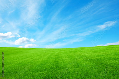 Lush green grass under bright blue sky with clouds