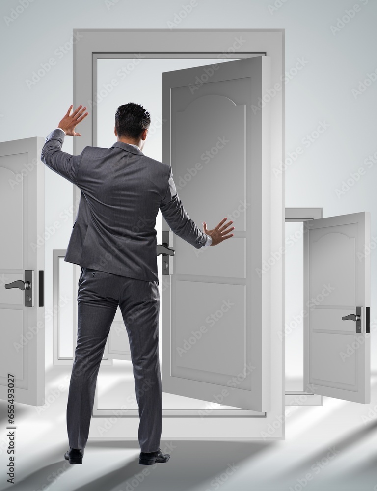 Fototapeta premium Businessman facing many business opportunities
