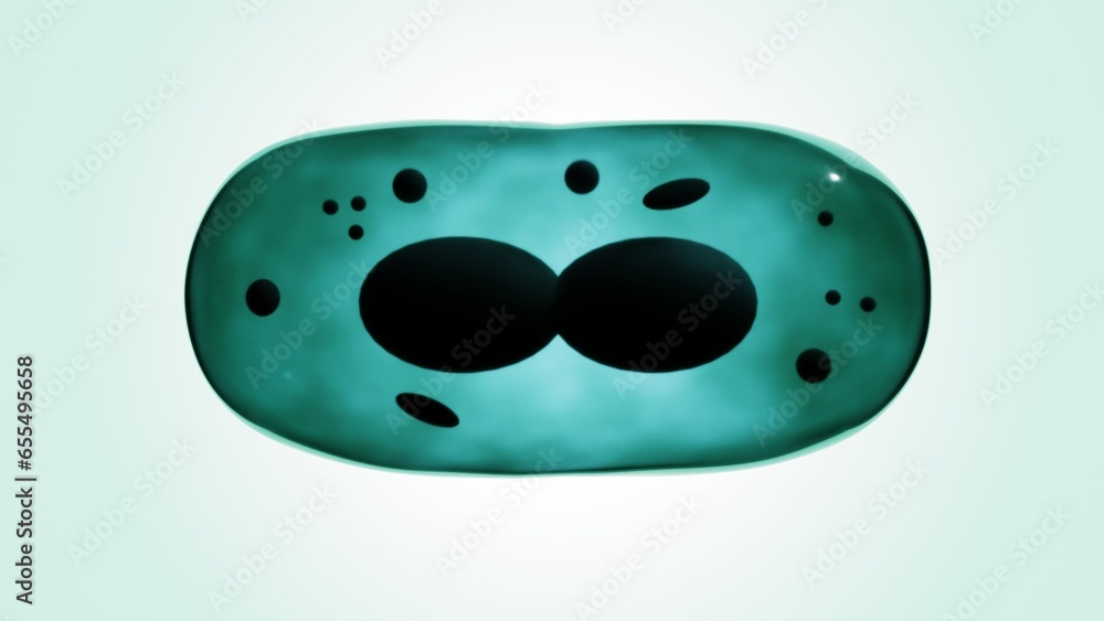 Fototapeta premium Cell division happens when a parent cell divides into two or more cells called daughter cellS 3D rendering