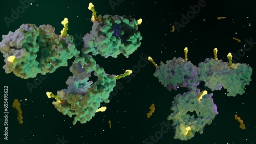 Antibody drug conjugates (ADCs) are targeted medicines that deliver chemotherapy agents to cancer cells 3d rendering