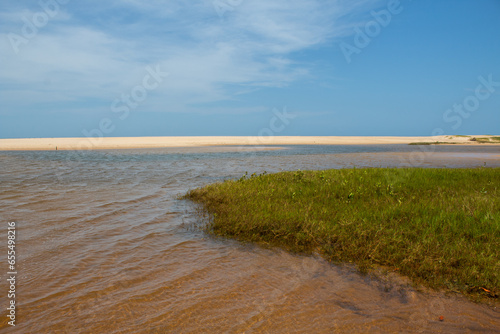 Imbassai River  with iron waters and low vegetation  near Praia do Forte  in Bahia  Brazil