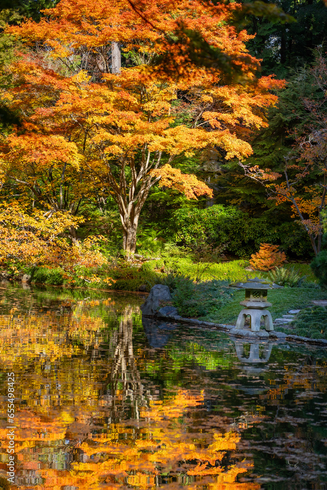 Fall colors of Japanese Garden