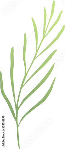 Vector Illustration Green Leaves