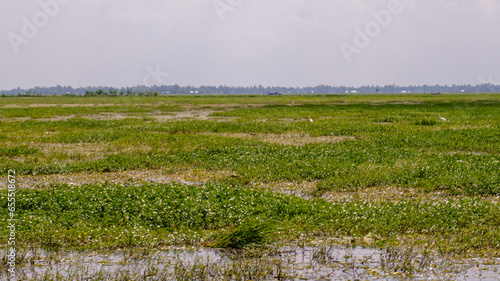 Landscape view of flooded rural area of Bangladesh. photo