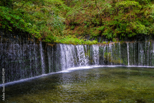 Fototapeta Naklejka Na Ścianę i Meble -  長野県軽井沢町の白糸の滝