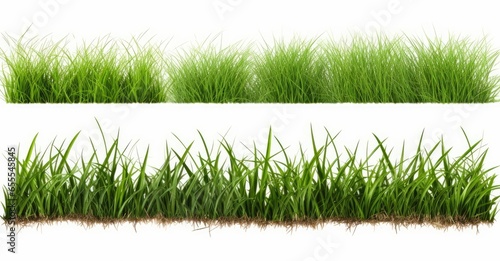 A collection of real grass borders, short, medium and long grass edges isolated on a white background, Generative AI