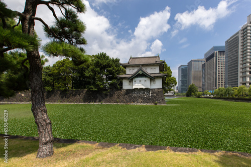Fototapeta Naklejka Na Ścianę i Meble -  Jardin du palais impérial de Tokyo au Japon