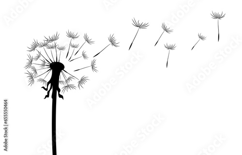 The field dandelion with seed flight. 