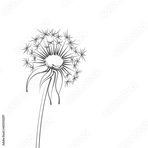 The field dandelion with seed flight.