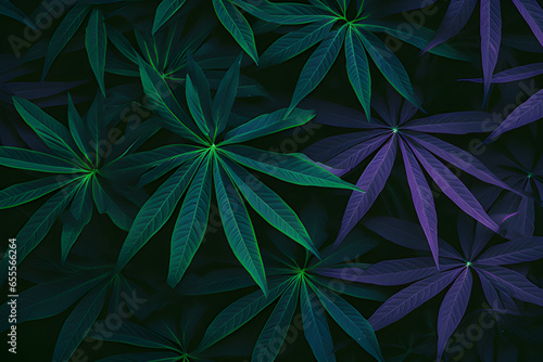 Closeup Nature View of Green Leaf and Cassava Leaves Background. Flat Lay  Dark Nature Concept  Tropical Leaf.