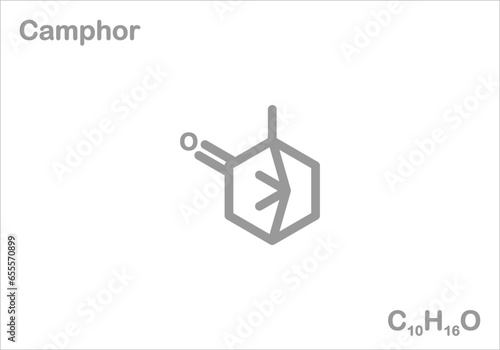 Camphor. Simplified structural formula. 